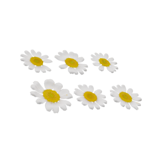 Flower Set 001 catalog preview
