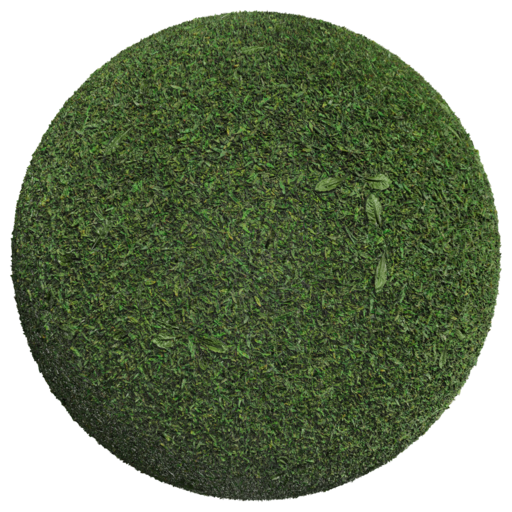 Grass 001 catalog preview
