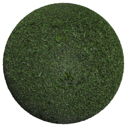 Grass 002 catalog preview