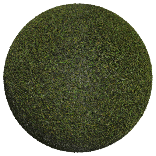 Grass 003 catalog preview