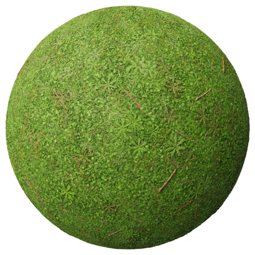 Grass 007 catalog preview