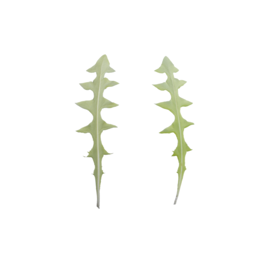 Leaf 002 catalog preview