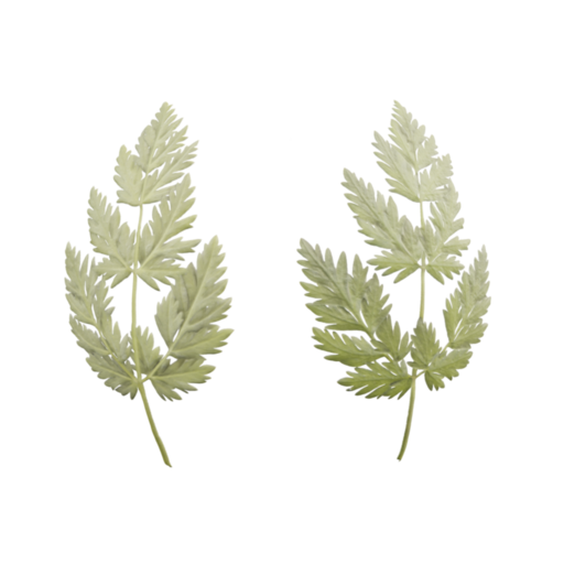 Leaf 003 catalog preview