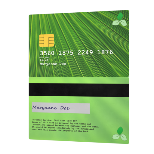 Payment Card 003 catalog preview
