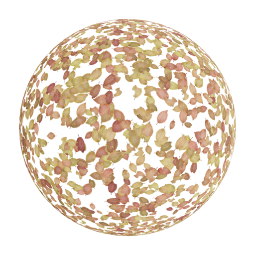 Scattered Leaves 007 catalog preview