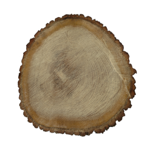 Tree End 002 catalog preview