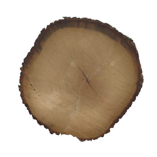 Tree End 003 catalog preview