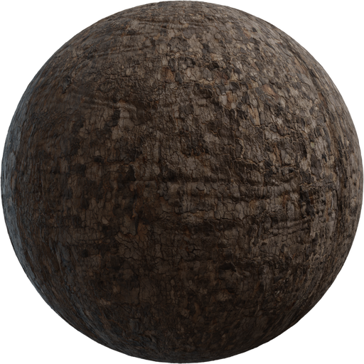 Bark Platanus catalog preview