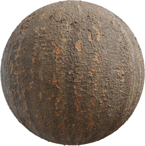 Japanese Zelkova Bark catalog preview