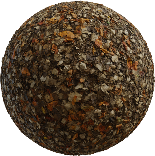Leaves Forest Ground catalog preview
