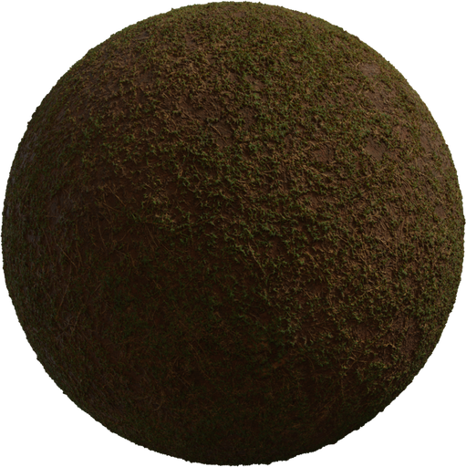 Sparse Grass catalog preview