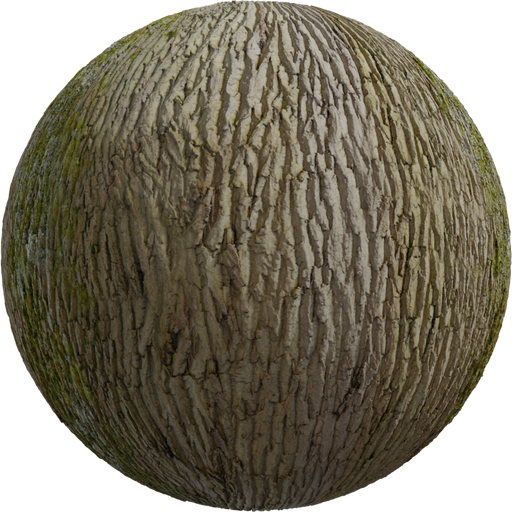 Tree Bark 03 catalog preview
