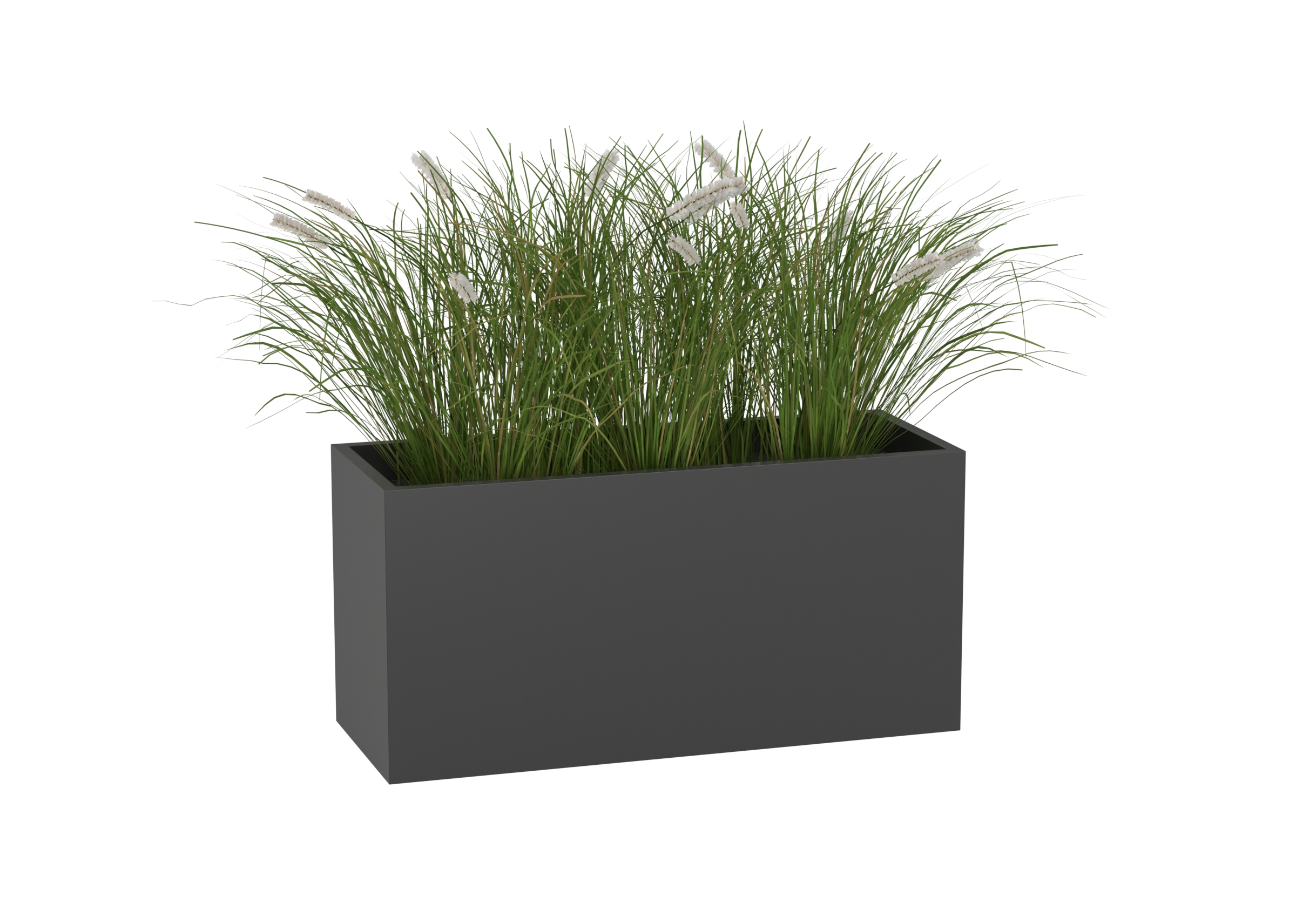 Outdoor Plant 1 catalog preview