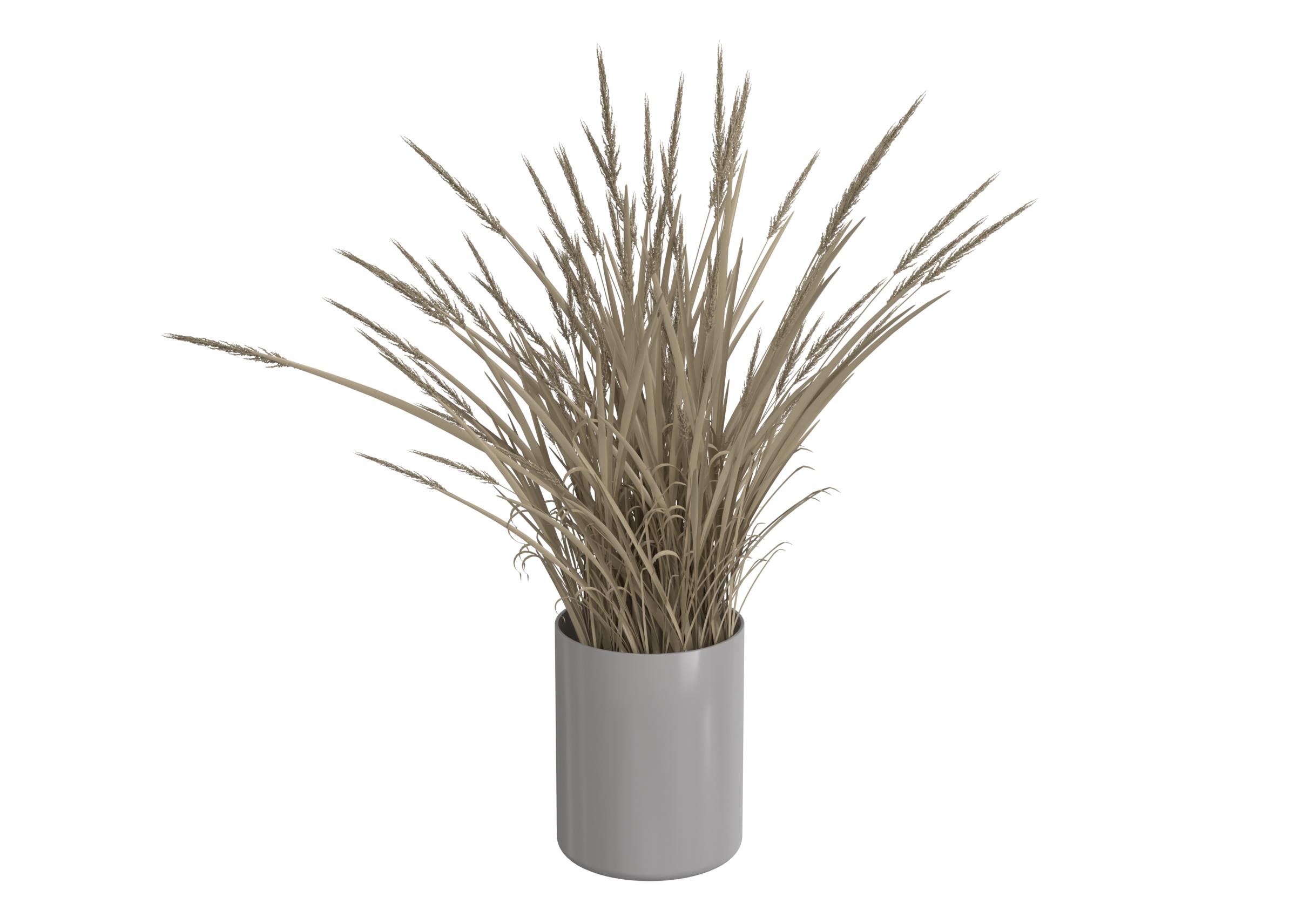 Small Plant 1 catalog preview