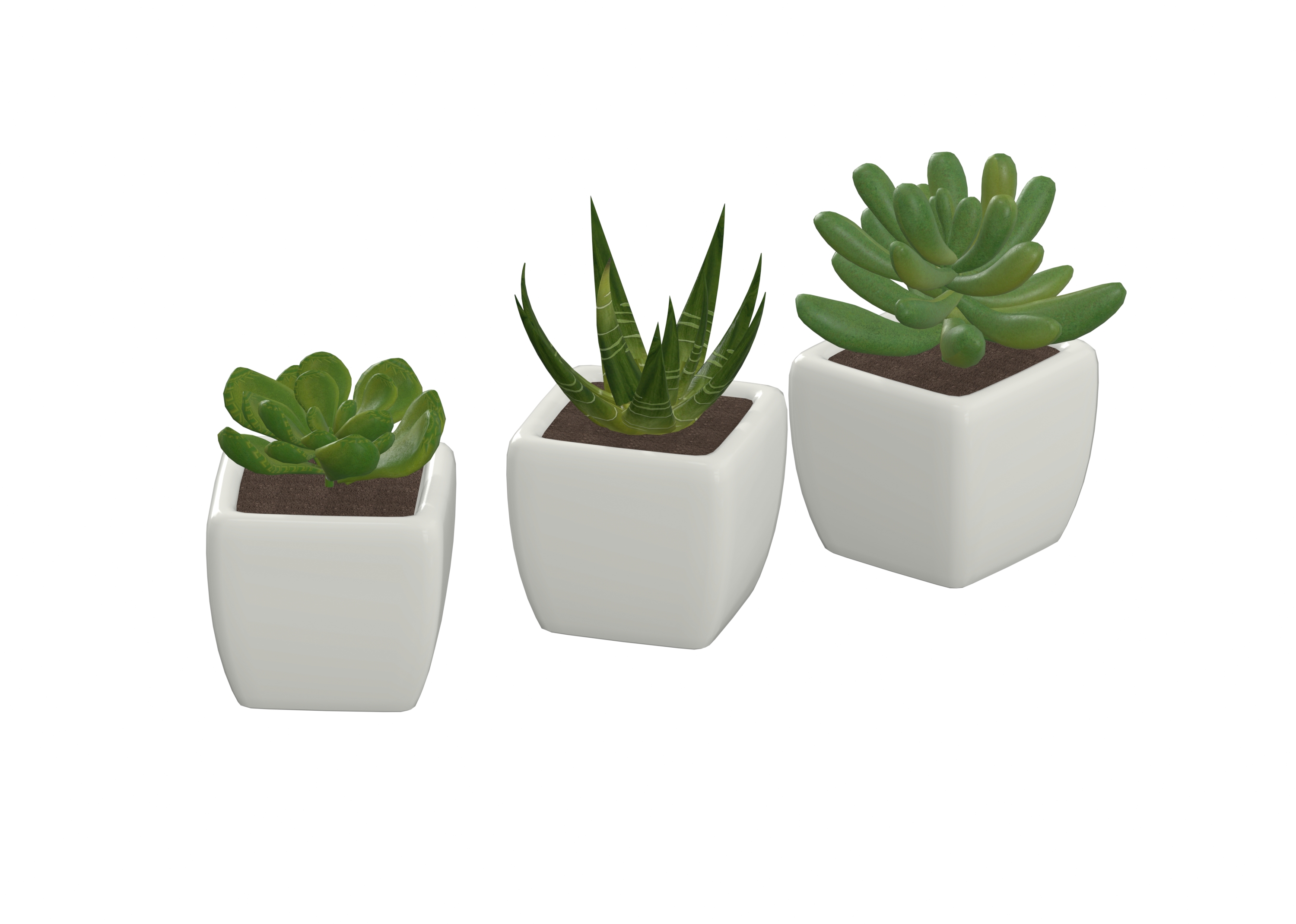 Small Plant Set catalog preview