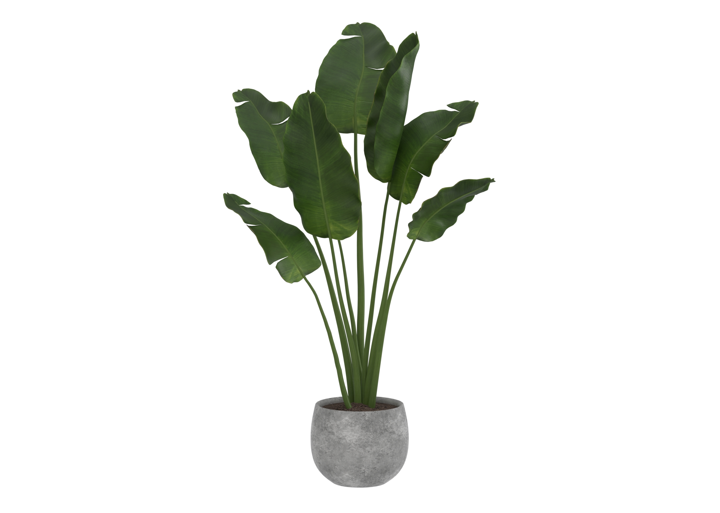 Outdoor Plant 4 catalog preview