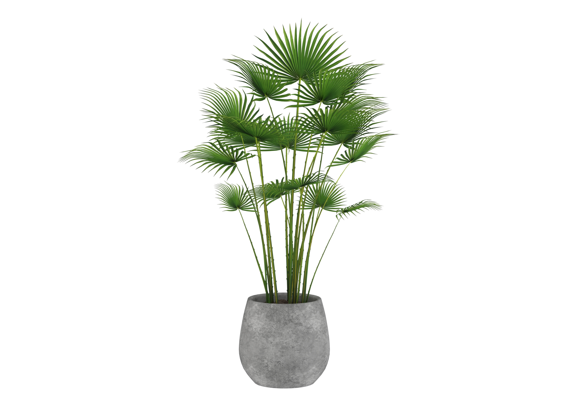 Outdoor Plant 6 catalog preview