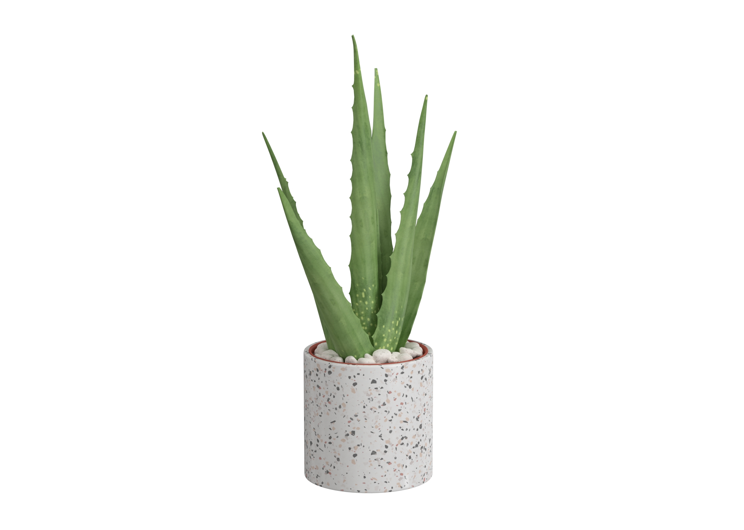 Floor Plant 2 catalog preview