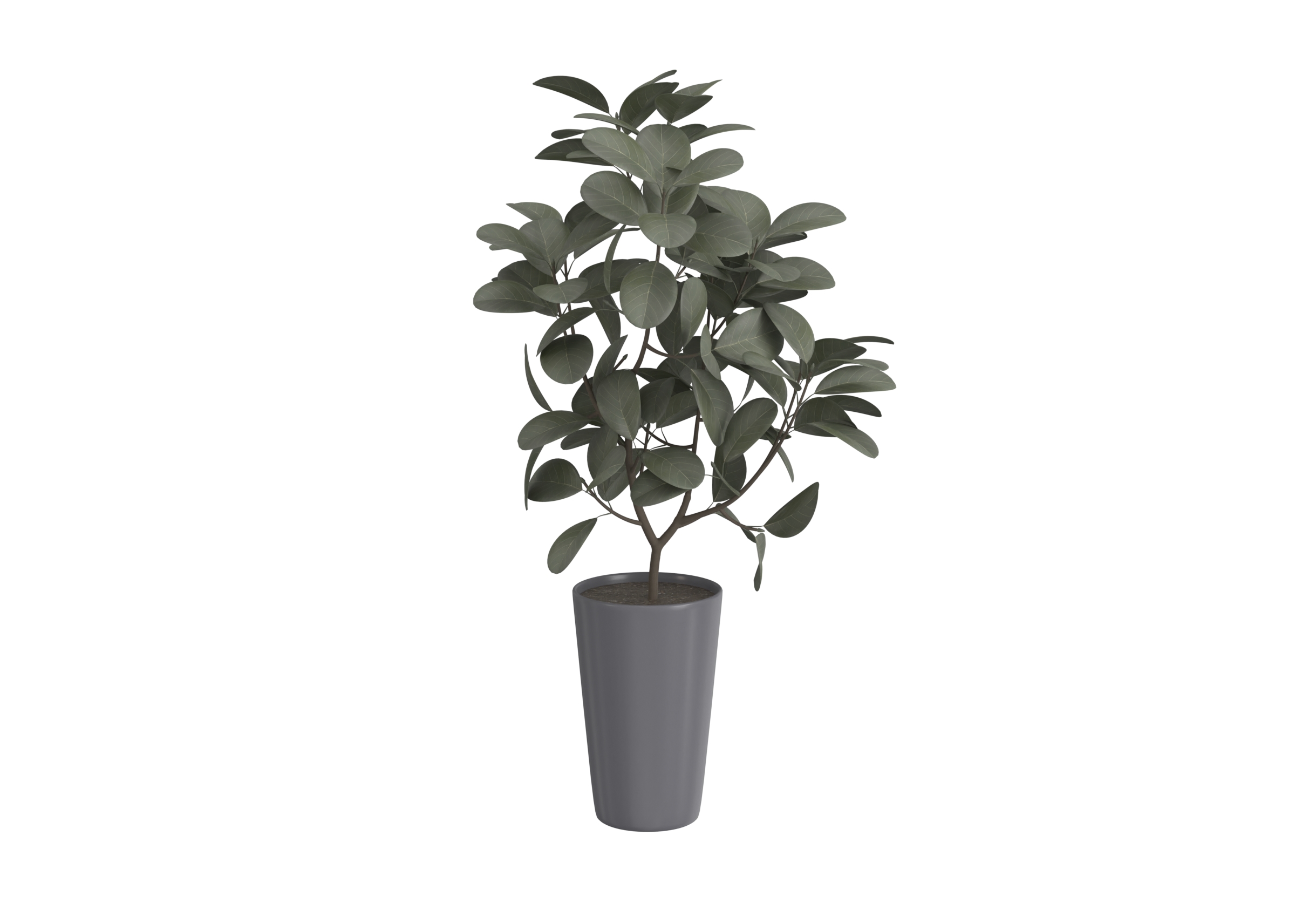 Plant 1 catalog preview