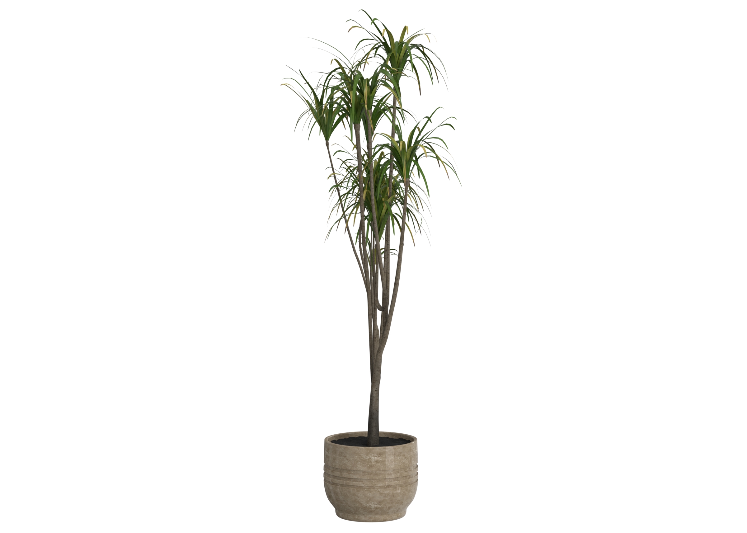Plant 3 catalog preview