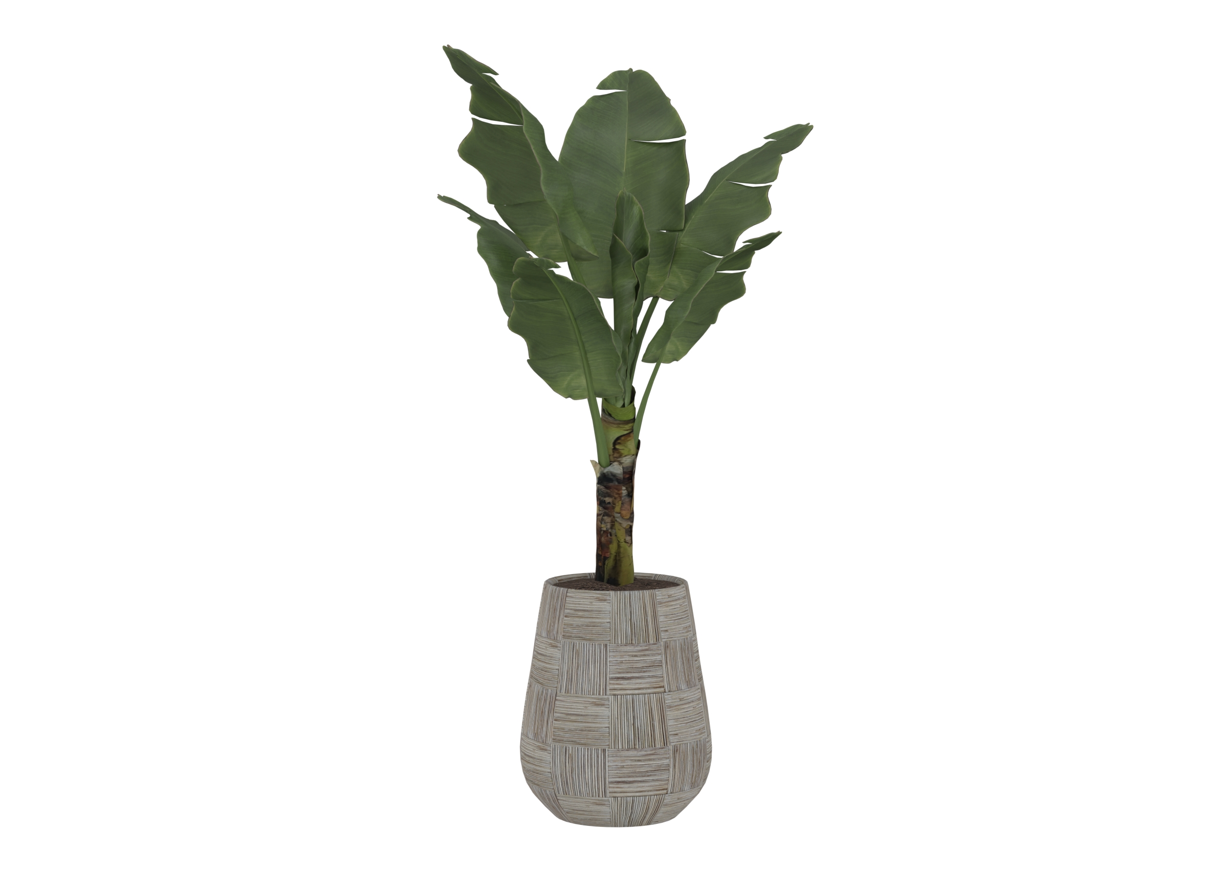 Outdoor Plant 7 catalog preview