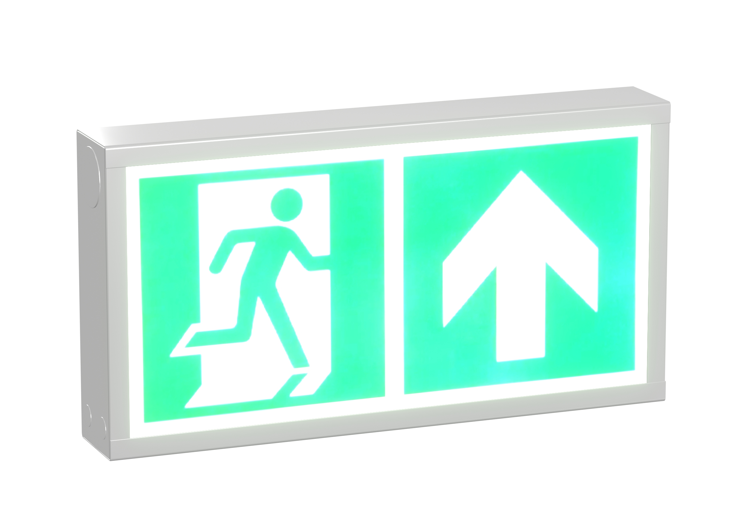 Emergency Exit Sign catalog preview