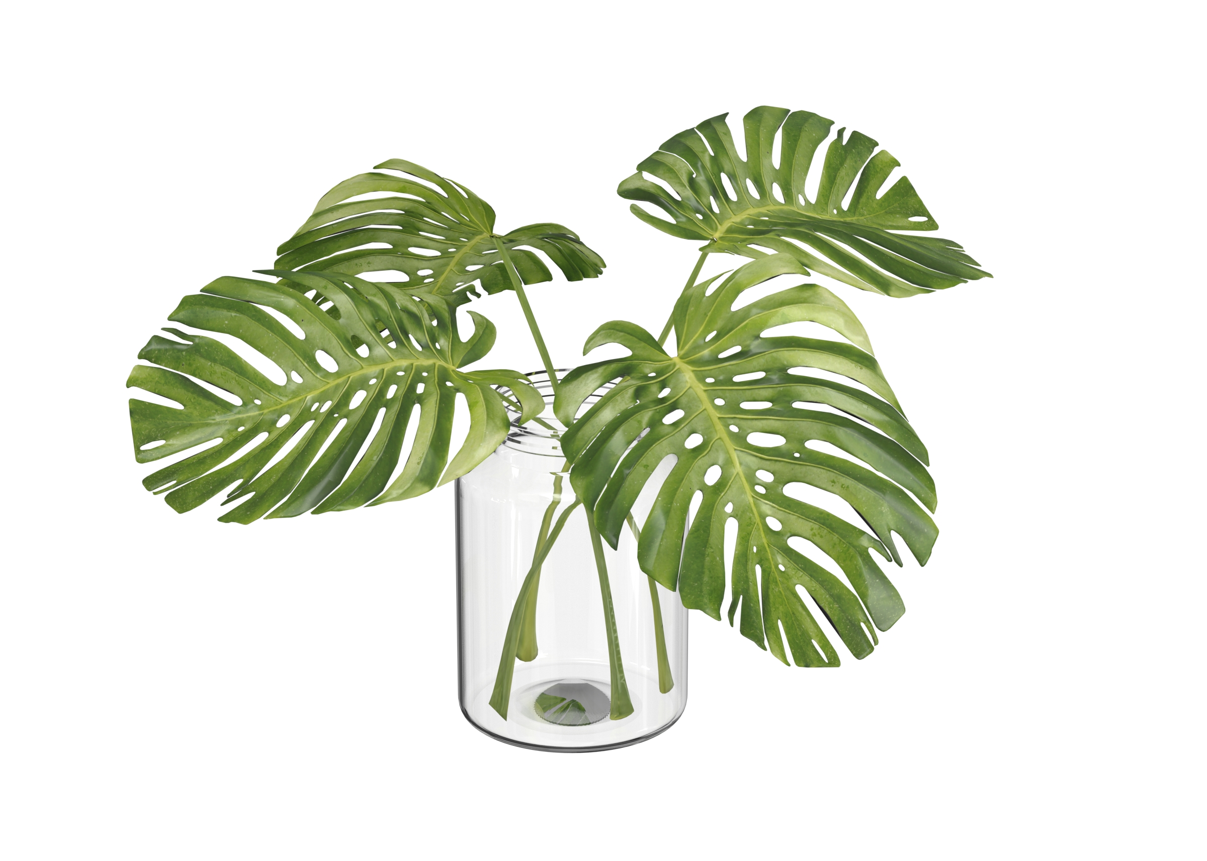 Table Plant catalog preview