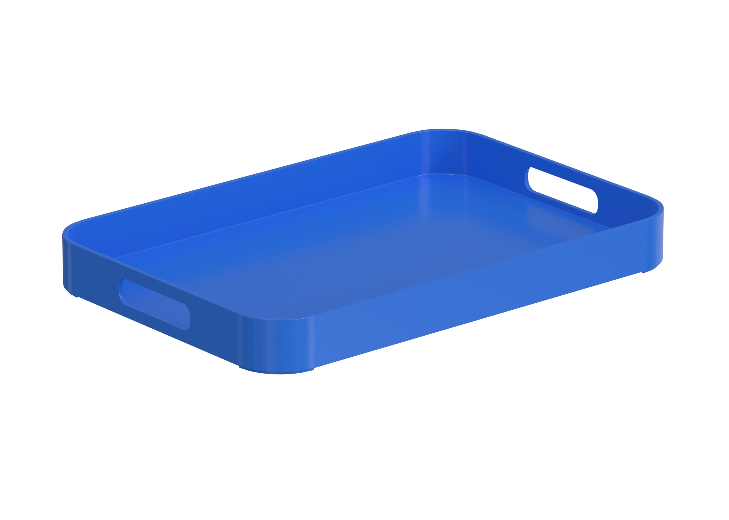 Plastic Tray 1 catalog preview