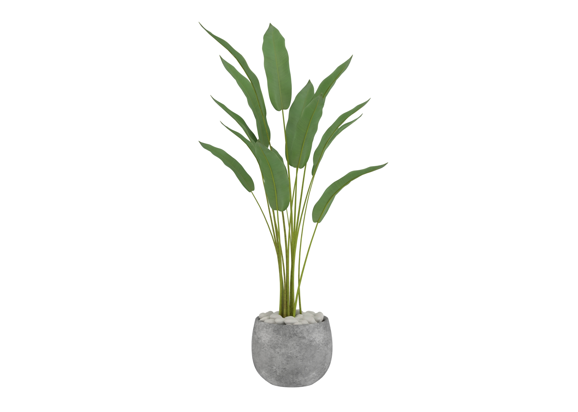 Outdoor Plant 3 catalog preview