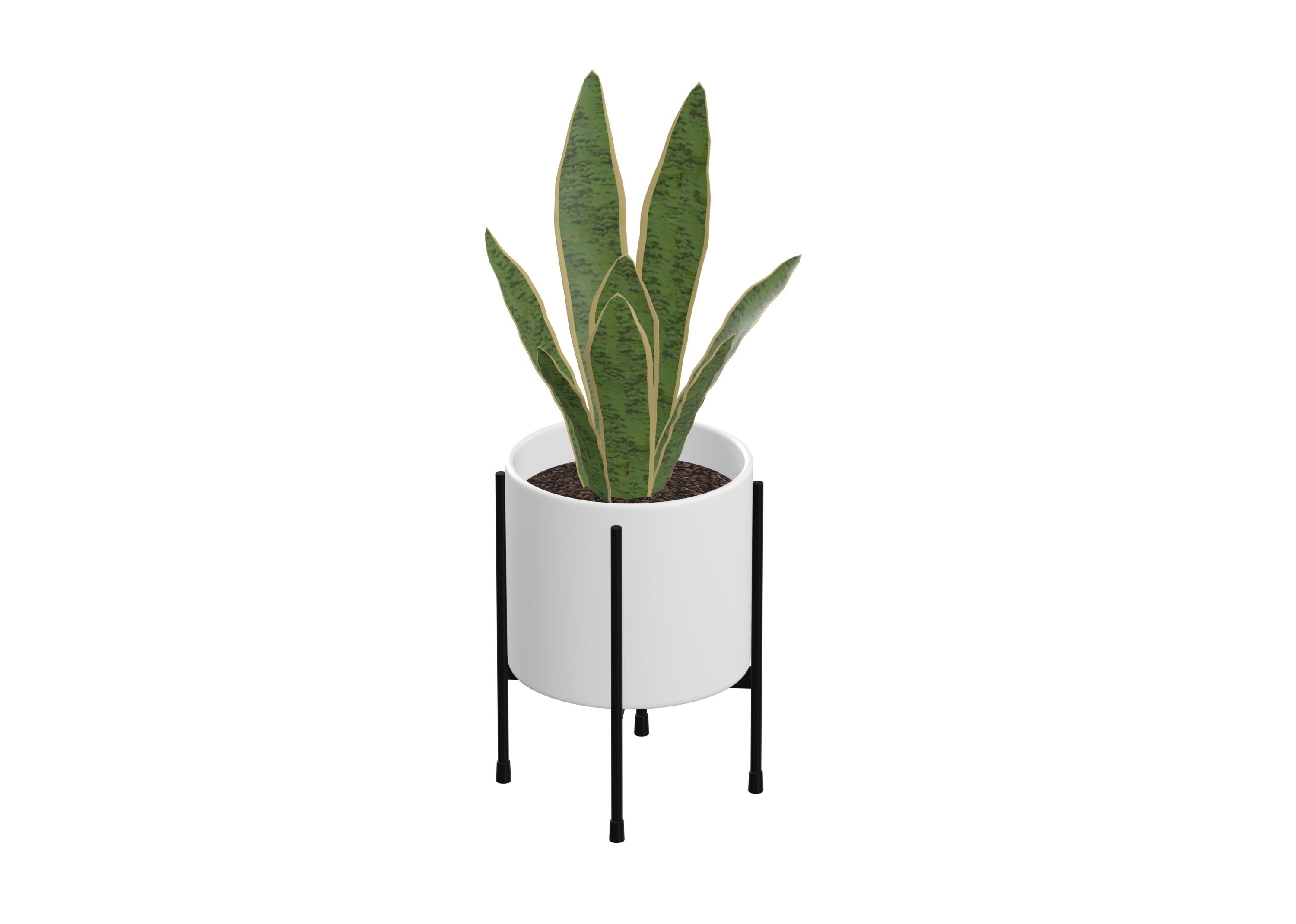Floor Plant catalog preview