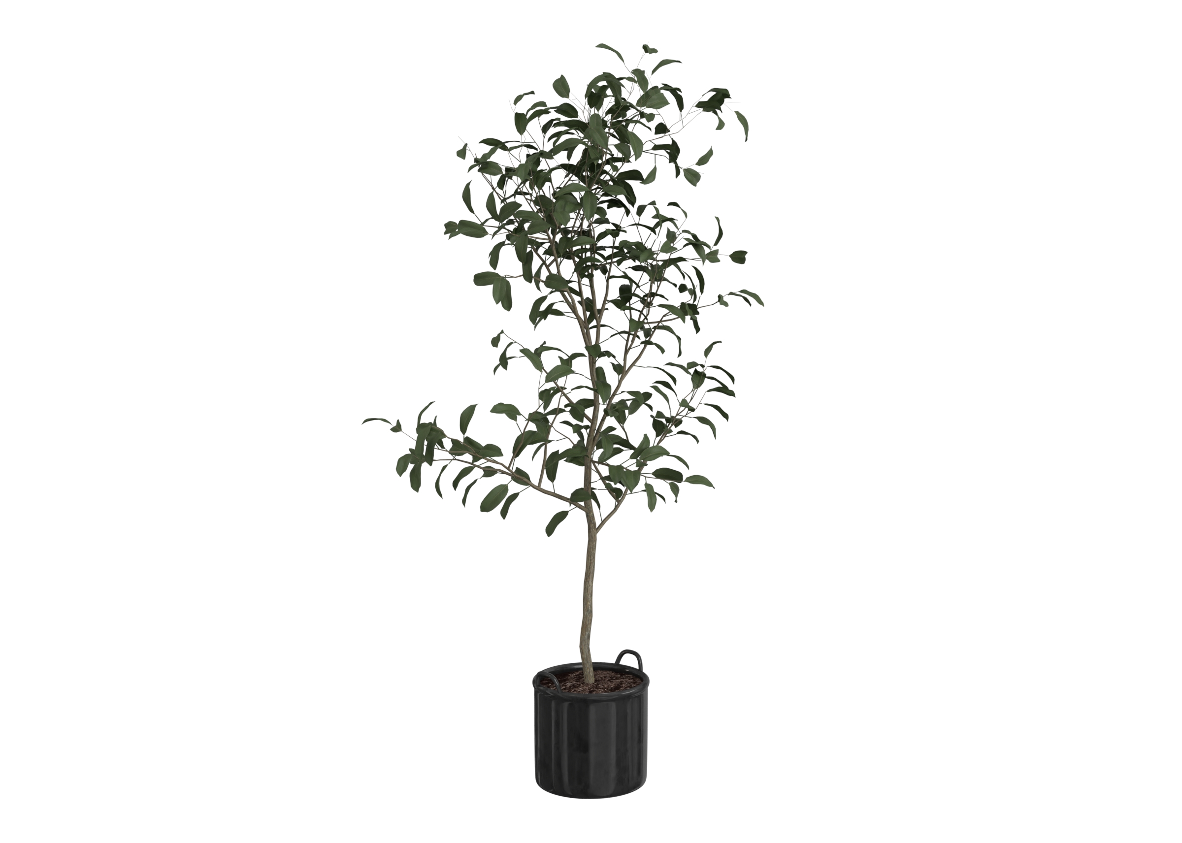 Plant 2 catalog preview