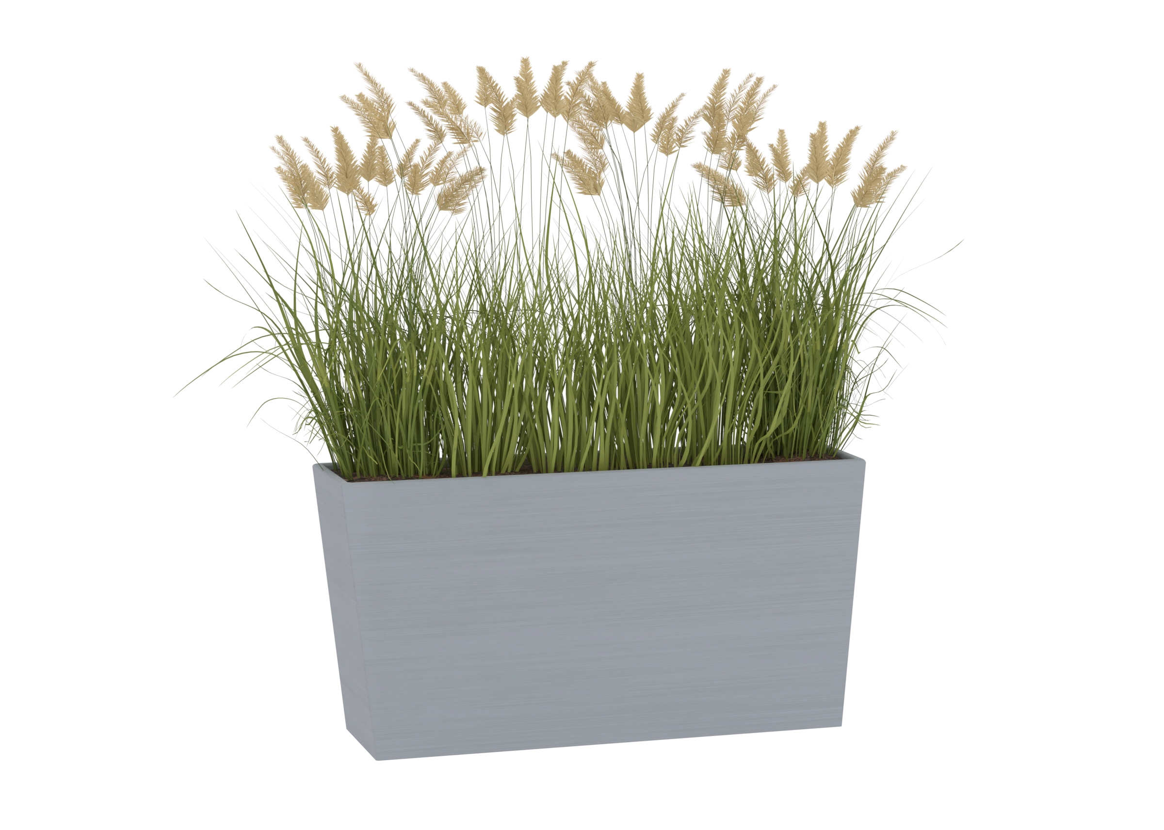 Outdoor Plant 2 catalog preview